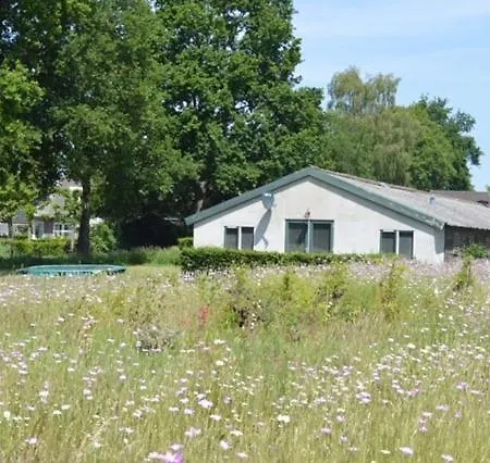 Residentie De Hoek Den Dungen