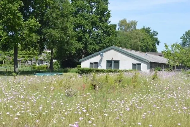 Residentie De Hoek Den Dungen