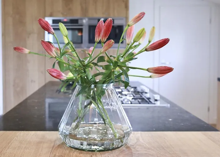 Residentie De Hoek *