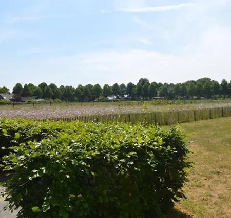 Residentie De Hoek