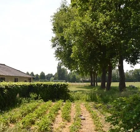 Residentie De Hoek Appartement Den Dungen