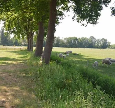 Residentie De Hoek
