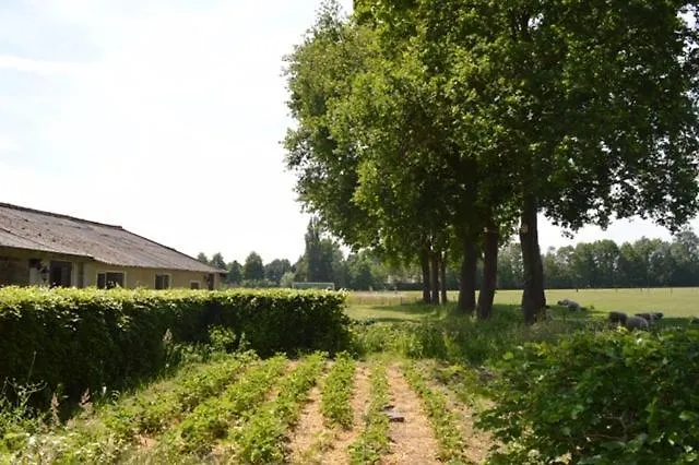 Residentie De Hoek Appartement Den Dungen